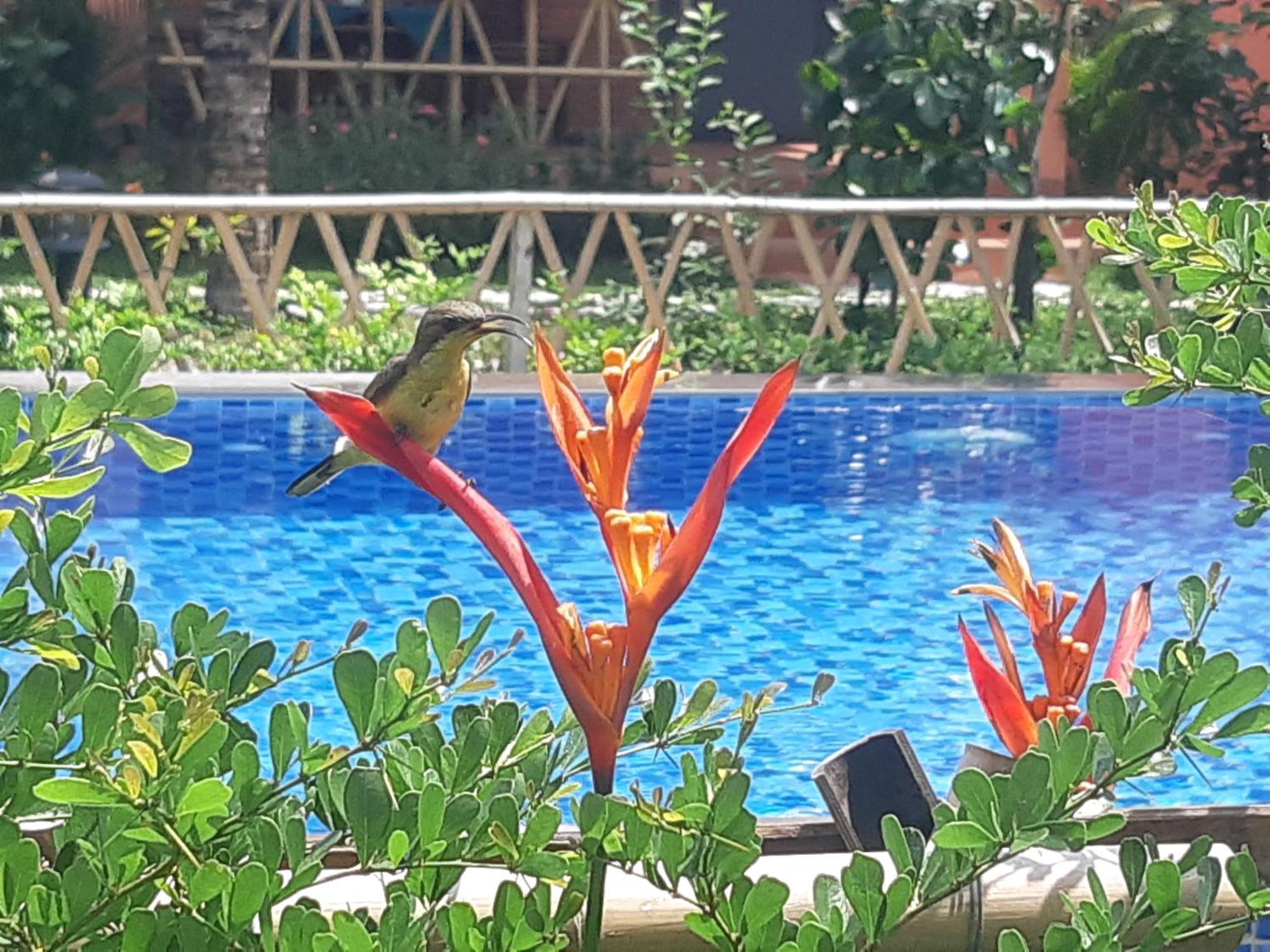 Anan Boutique Bungalows With Private Kitchen Phu Quoc Exterior photo